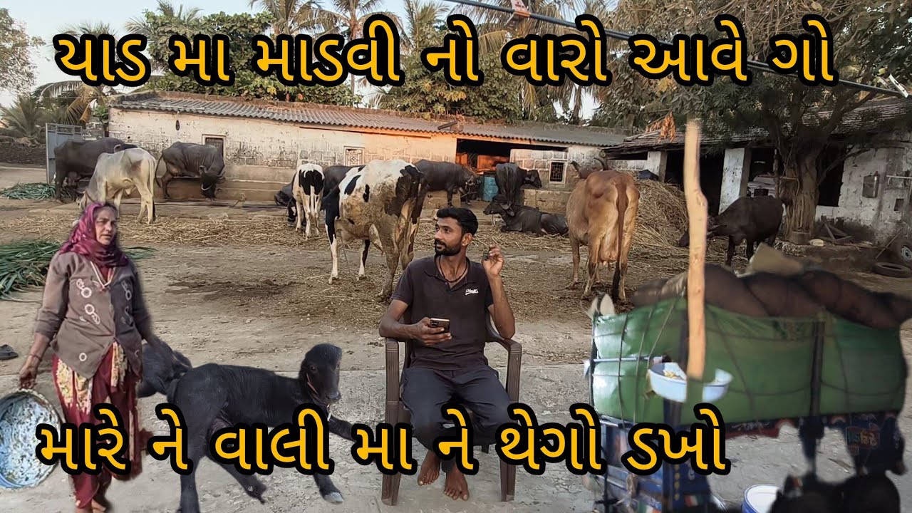 માડવી નો છેડો આજે મુકાળો 🤷🤷 માડ માડ યાડ મા વારો આવો 