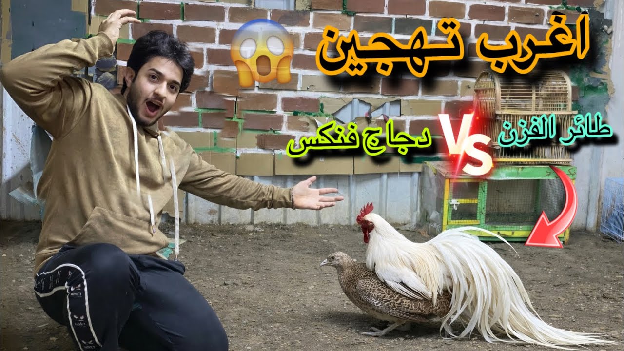 تهجين النوادر😳اغرب تزاوج ممكن شوفه😱😲