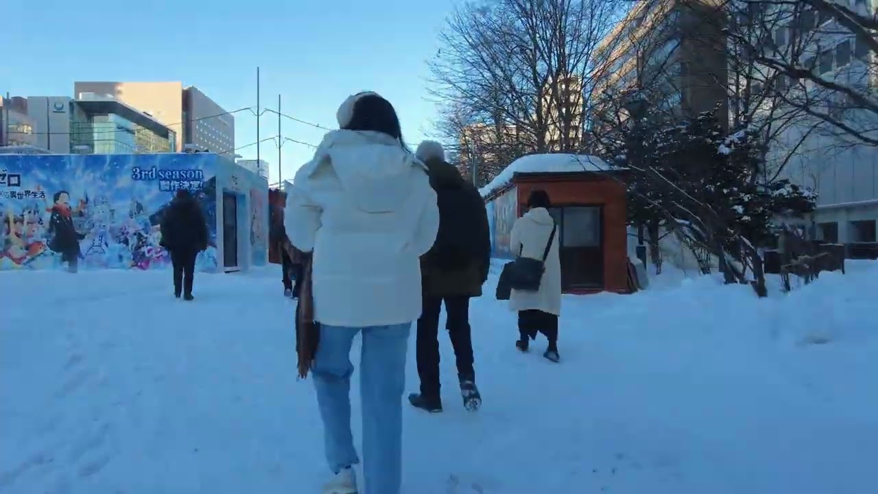 It is my suggestion of what you should visit Hokkaido during the winter season