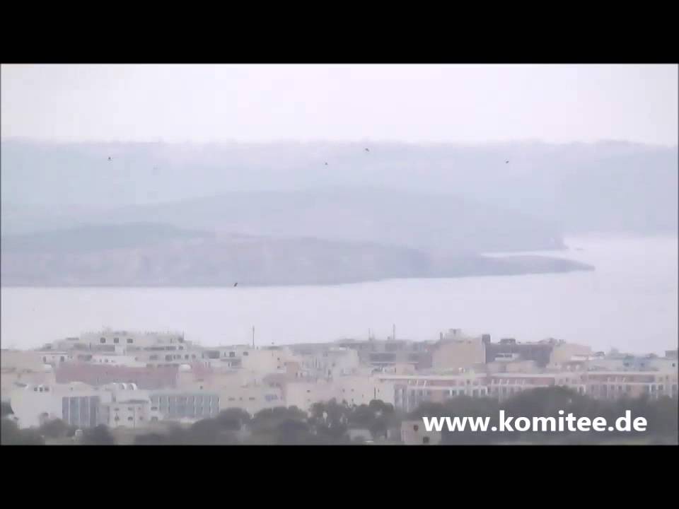 Poachers shoot down 2 White Storks on Malta - 23 March 2014 - CABS