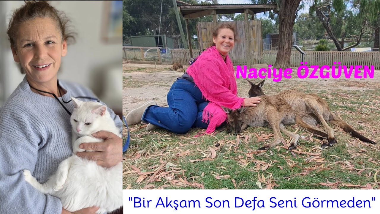 Bir Akşam Son Defa Seni Görmeden - Naciye ÖZGÜVEN