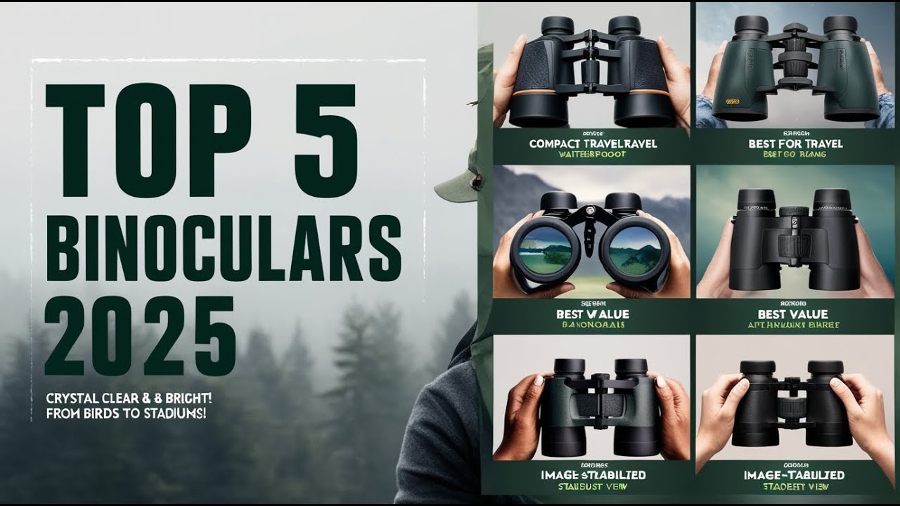🔭 Top 5 BEST Binoculars of 2025 - Buyer's Guide & Reviews