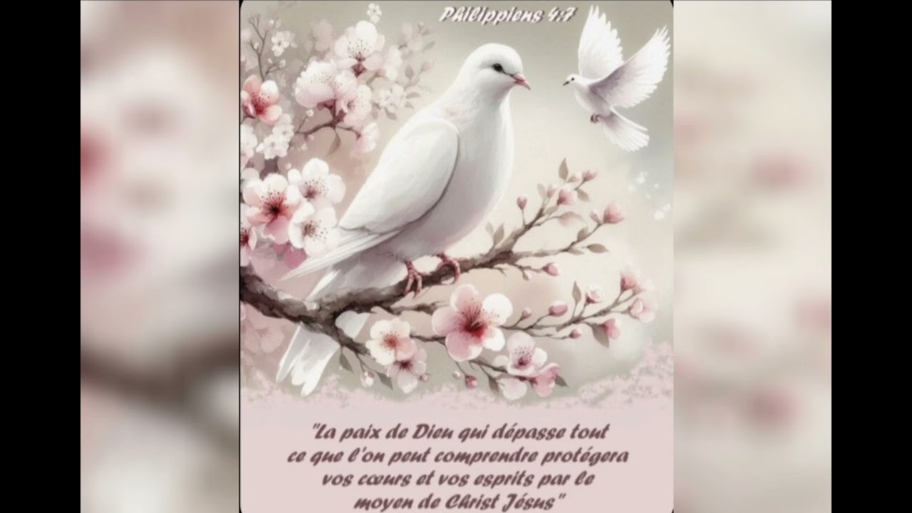 La tuff un Vase D’albatre 
