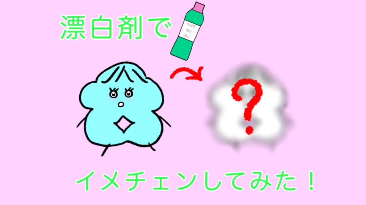 漂白剤でイメチェンしてみた！