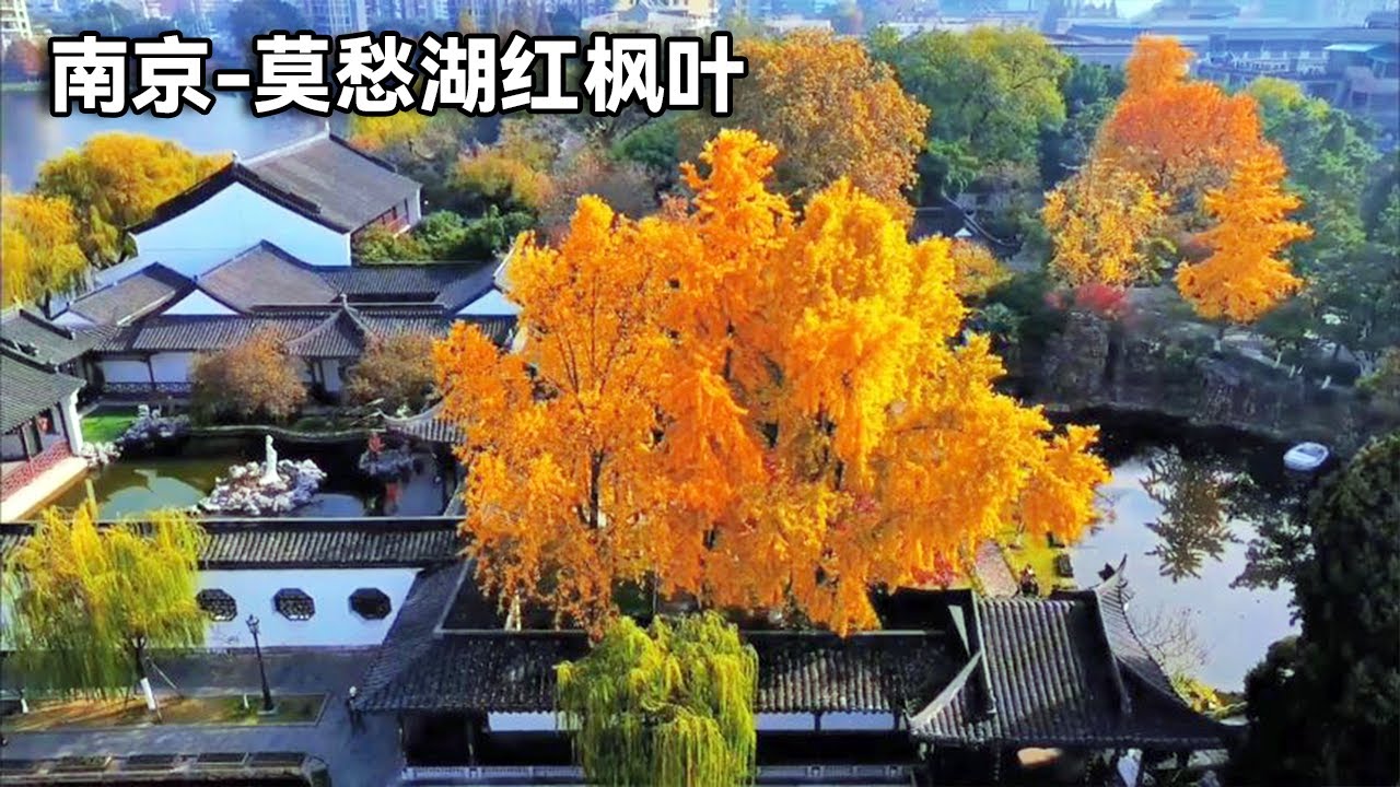 1500-летнее озеро на юге реки Янцзы! Красные кленовые листья озера Мочу действительно добавляют бес