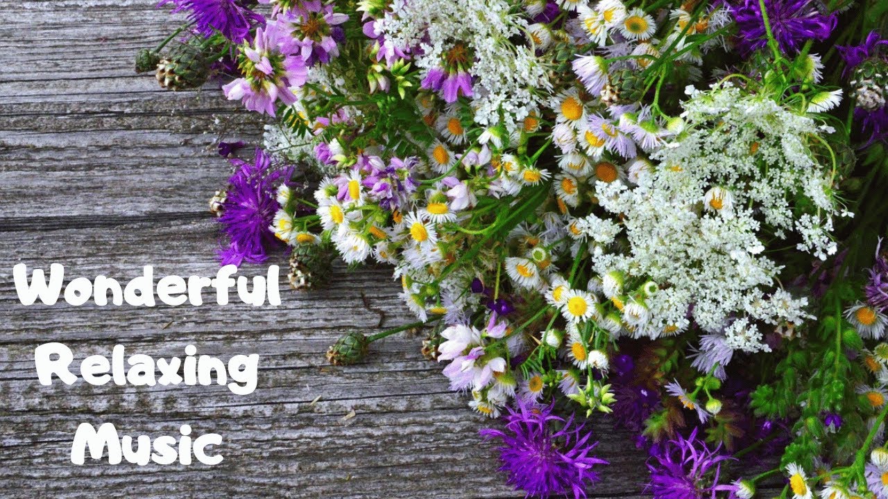 🎶 Wonderful Relaxing Music & Beautiful Summer Flowers (Meditation, Stress Relief, Soothing Music) 🎶