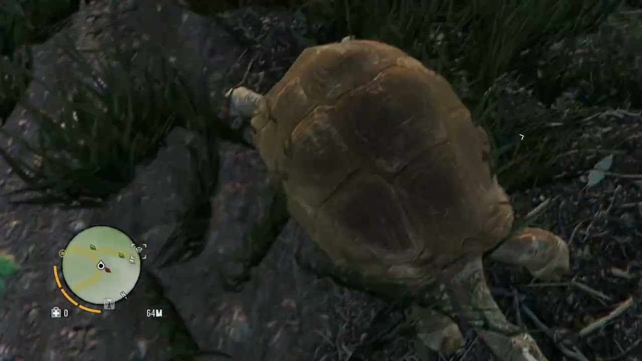 Far Cry® 3 Caça #18