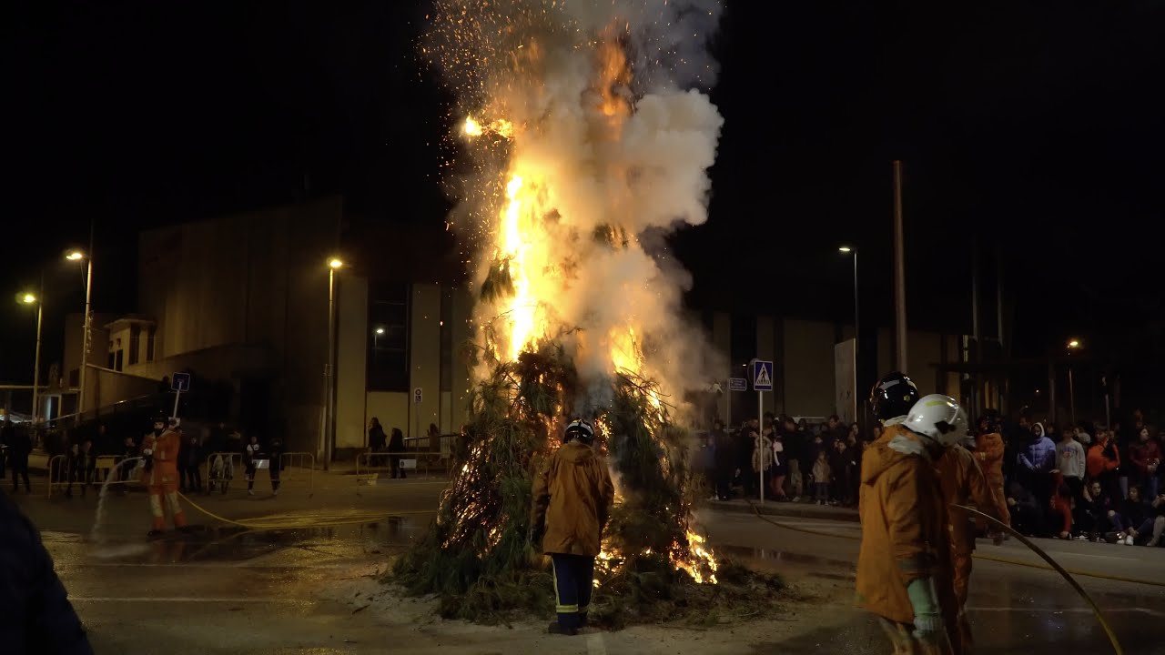 SANT ANTONI 2024: CREMÀ DEL PI A TAVERNES DE LA VALLDIGNA | GUAITA TV