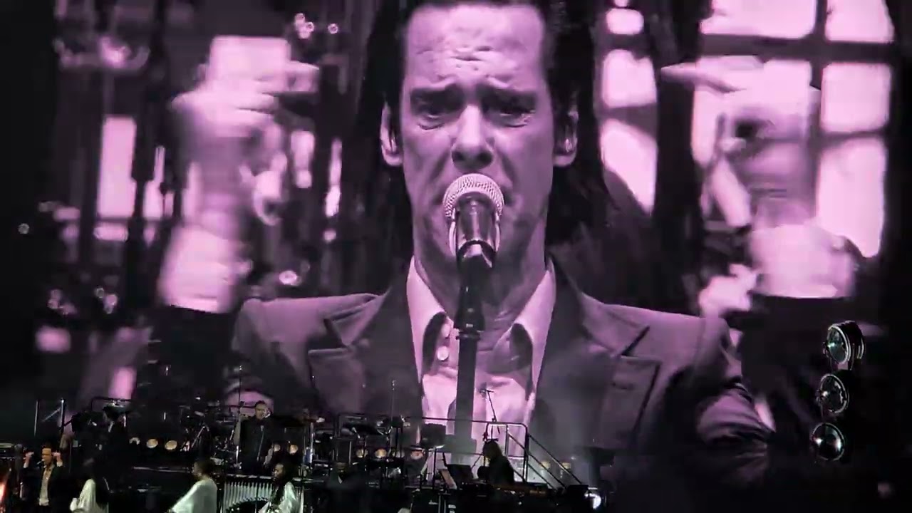 “White Elephant” ⚡Nick Cave & The Bad Seeds