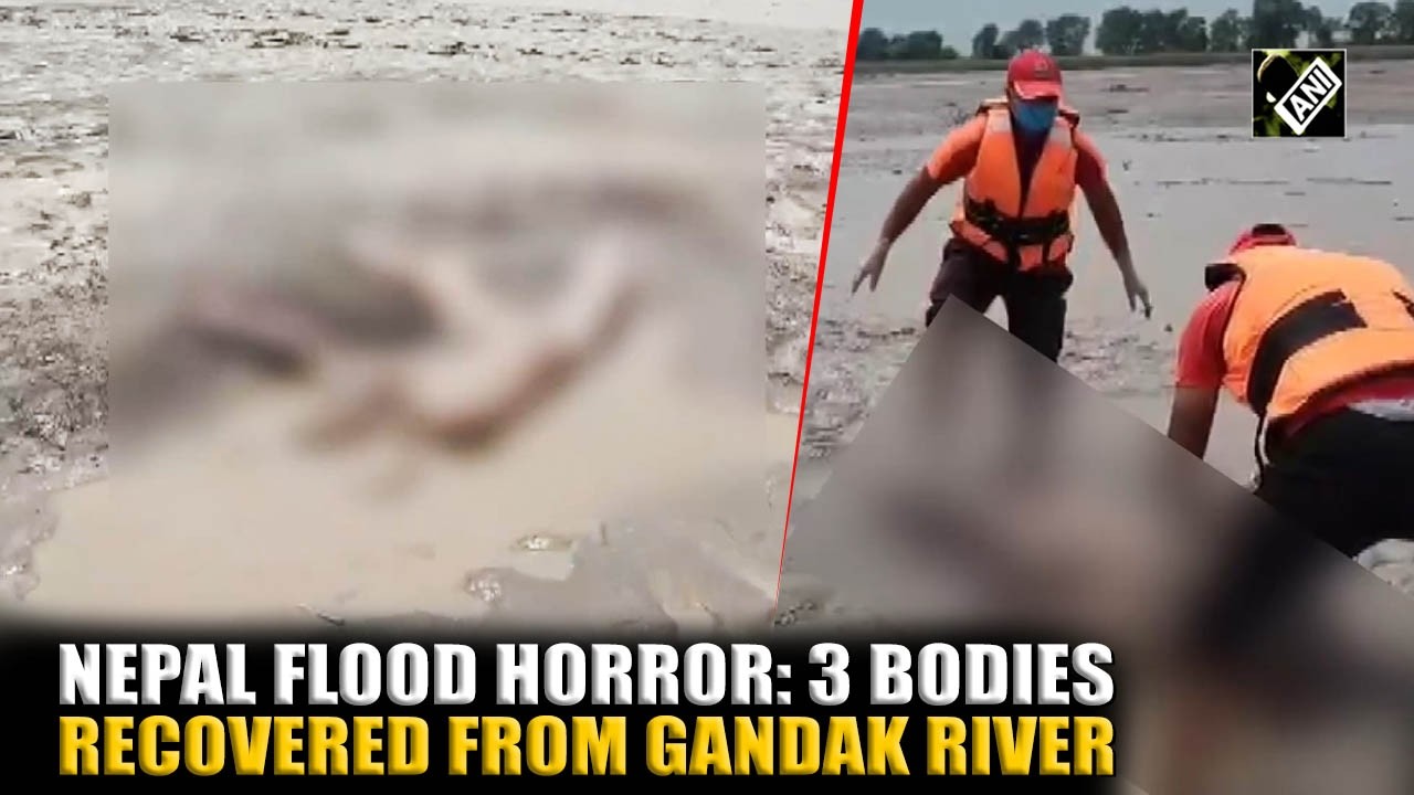 Nepal flood aftermath: Three bodies recovered from Gandak river as rescue operations continue