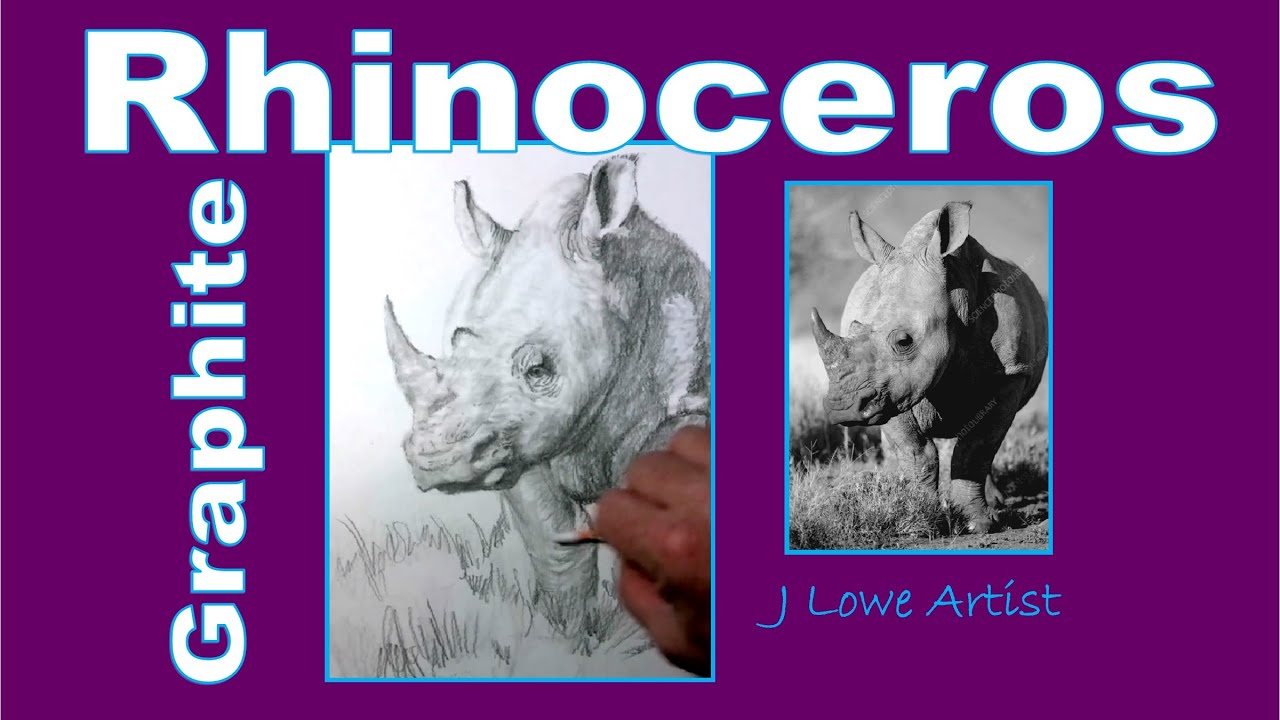 How to Draw a Rhino Step by Step Tutorial