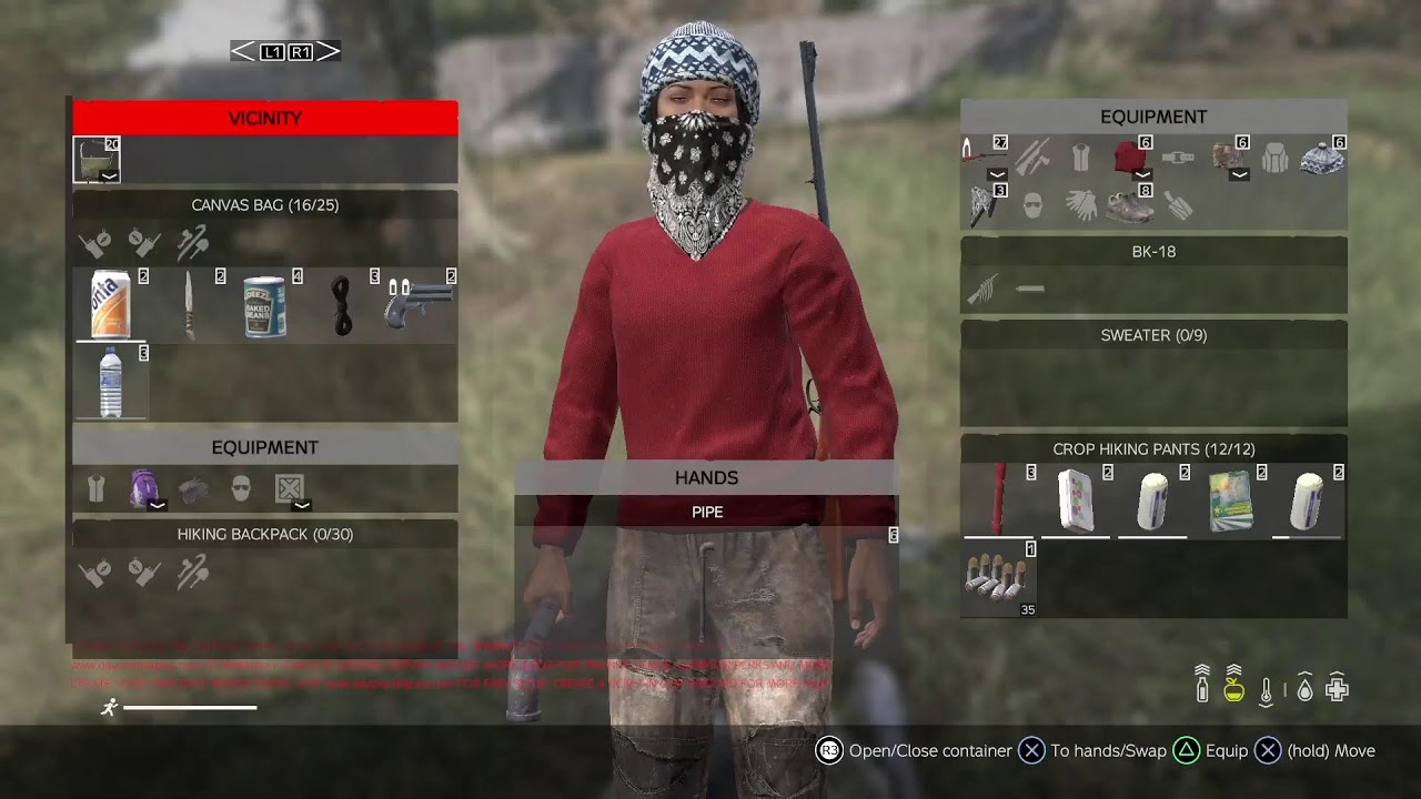 Dayz