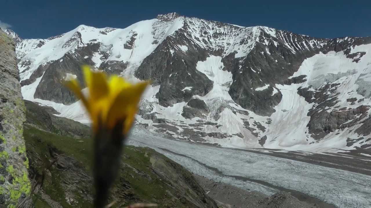 GIN GLIDERS -- Yeti -- Mountain / Lightweight