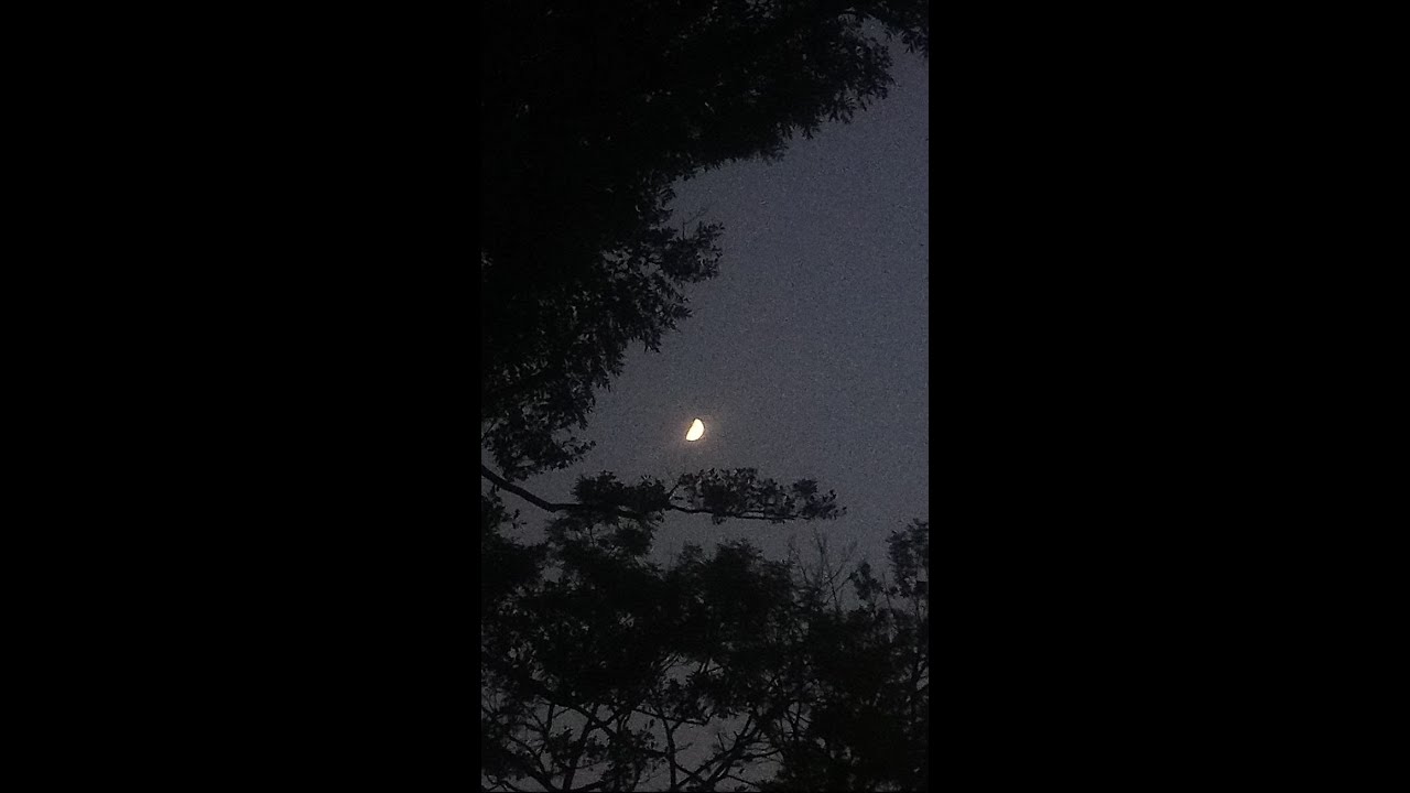 Bones x Greaf x surrenderdorothy Type Beat - "MoonlitSky" (prod. vsvprhymz)