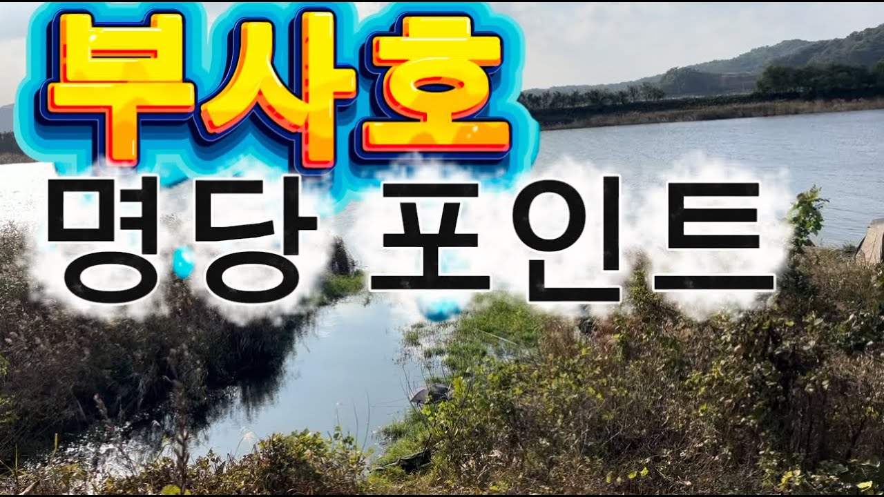 보령 부사호 초속 10m/s 바람을 이겨라!!! 명당 포인트에서~ #fishing #붕어낚시 #보령 #부사호