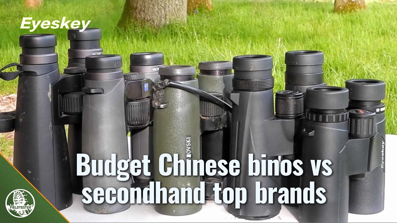 Budget binoculars vs secondhand Swaros and Zeiss