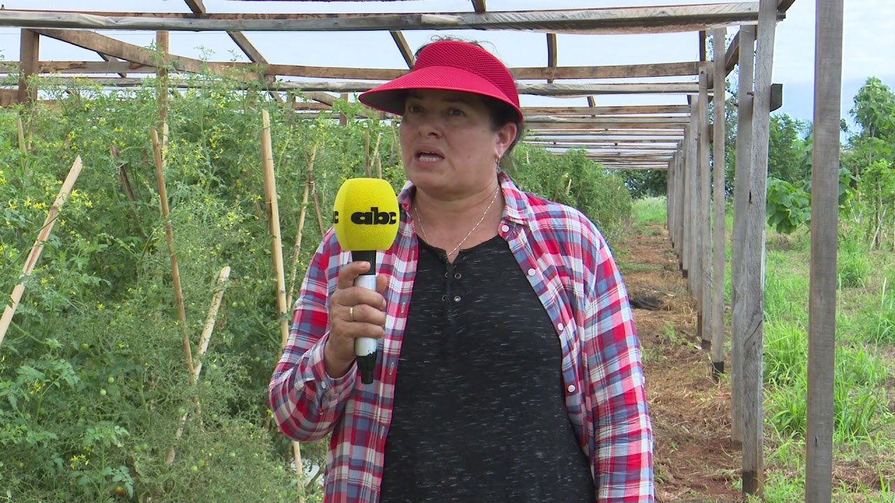 Horticultura durante todo el año