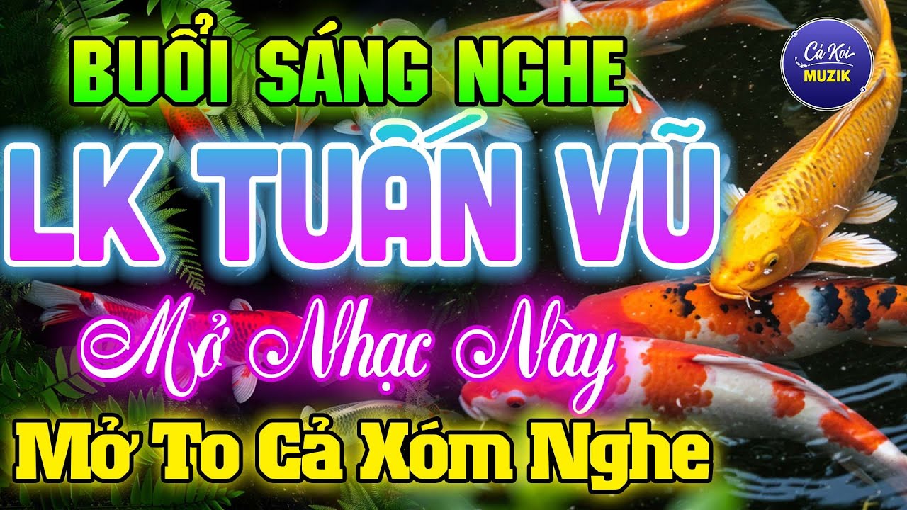 Đỉnh Cao LK Tuấn Vũ Không Lời Thư Giãn MỞ TO CẢ XÓM NGHE Nhạc Hay Dễ Ngủ - Hòa Tấu Guitar Hải Ngoại