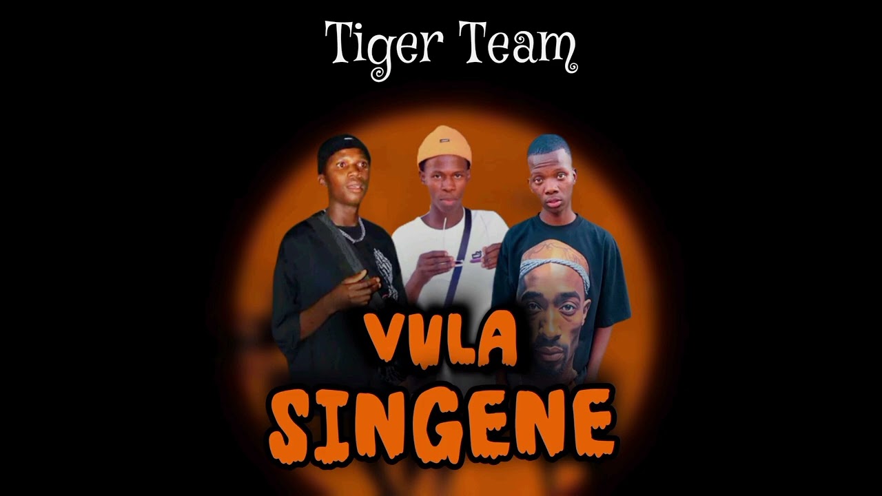 Tiger Team - Vula Singene official audio (mp3)