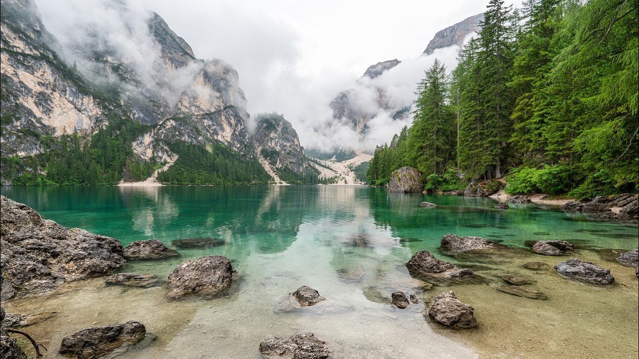 Gentle Rain Sounds by the Forest Lake | Calm Nature Ambience for Relax & Sleep