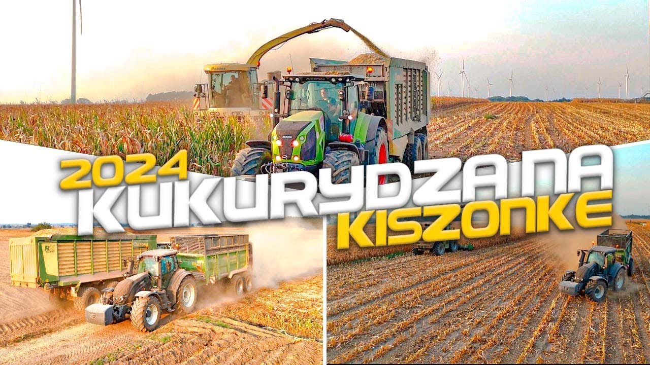 Kukurydza Na Kiszonkę 2024 ☆ Usługi Rolnicze ADAMIX 506 956 672 ☆Valtra | Class | Krone ☆ AGRO WIKS
