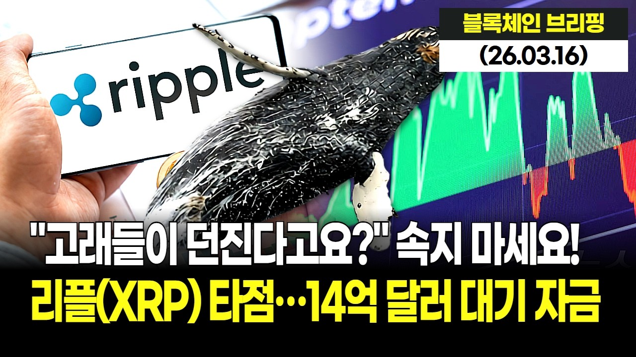 리플 운명의 날! 