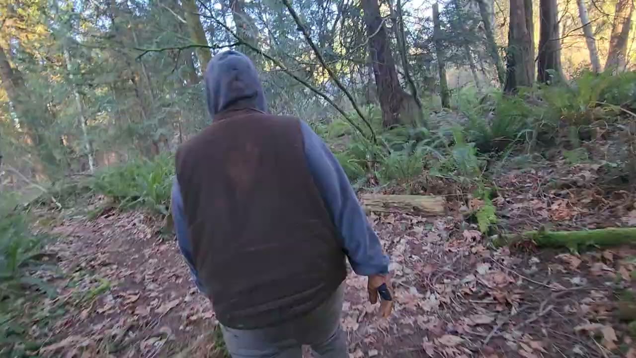 Abandoned Park