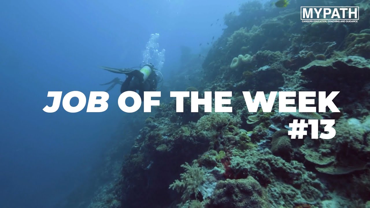 JOB OF THE WEEK - EPISODE #13 - MARINE BIOLOGIST