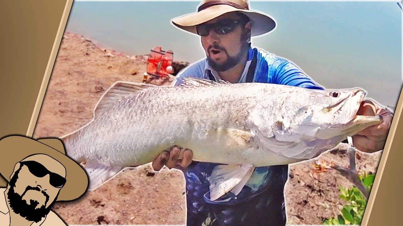 A Day of Surprises (BIG land based Barra fishing in URBAN CREEK)