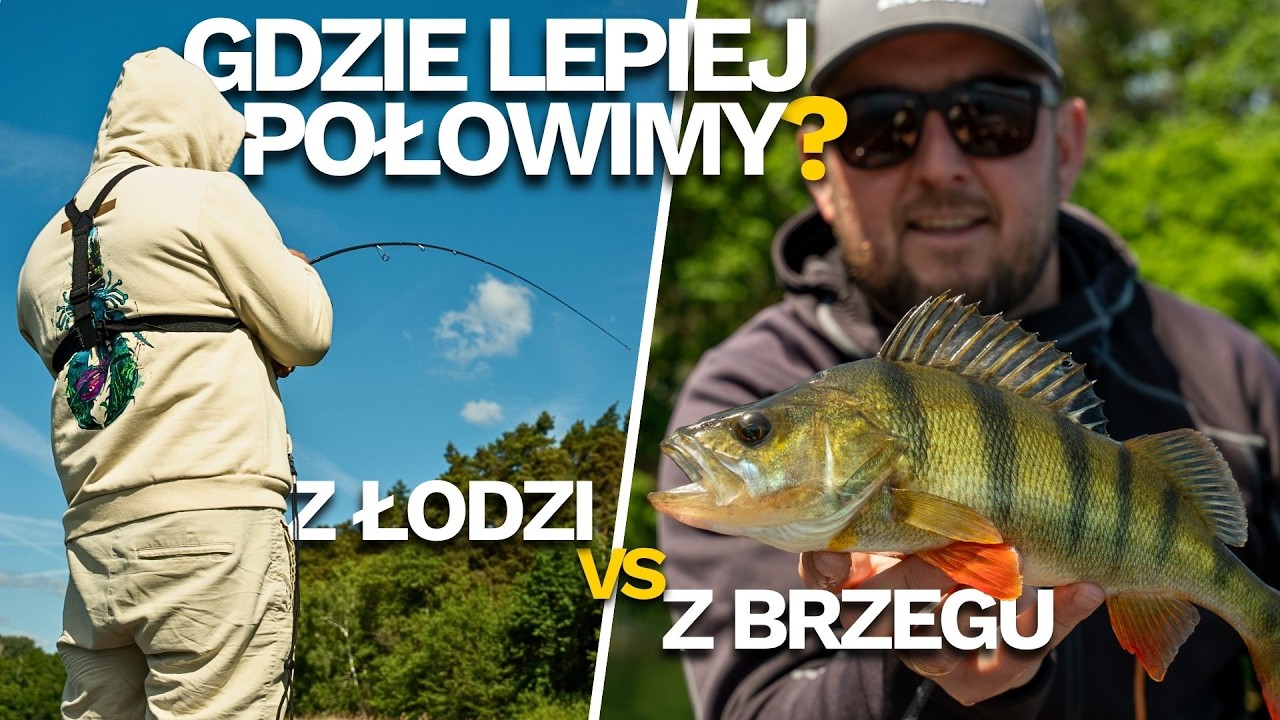 Zabieramy po 20 przynęt i ruszamy na okonie i szczupaki | Testujemy nowości Westina