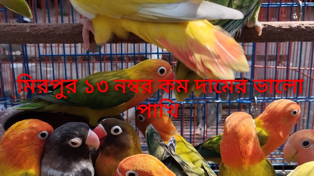18 February 2026