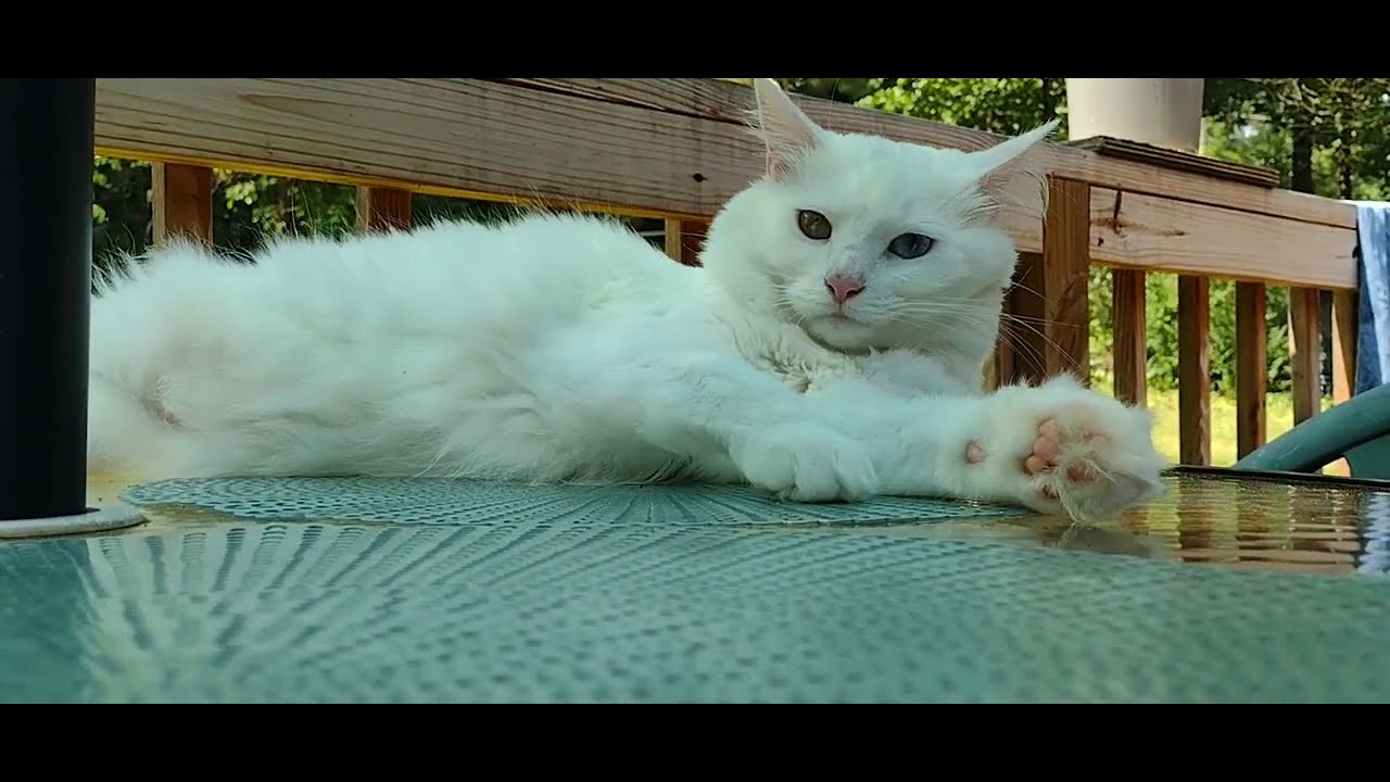 Nara Taking a bath !