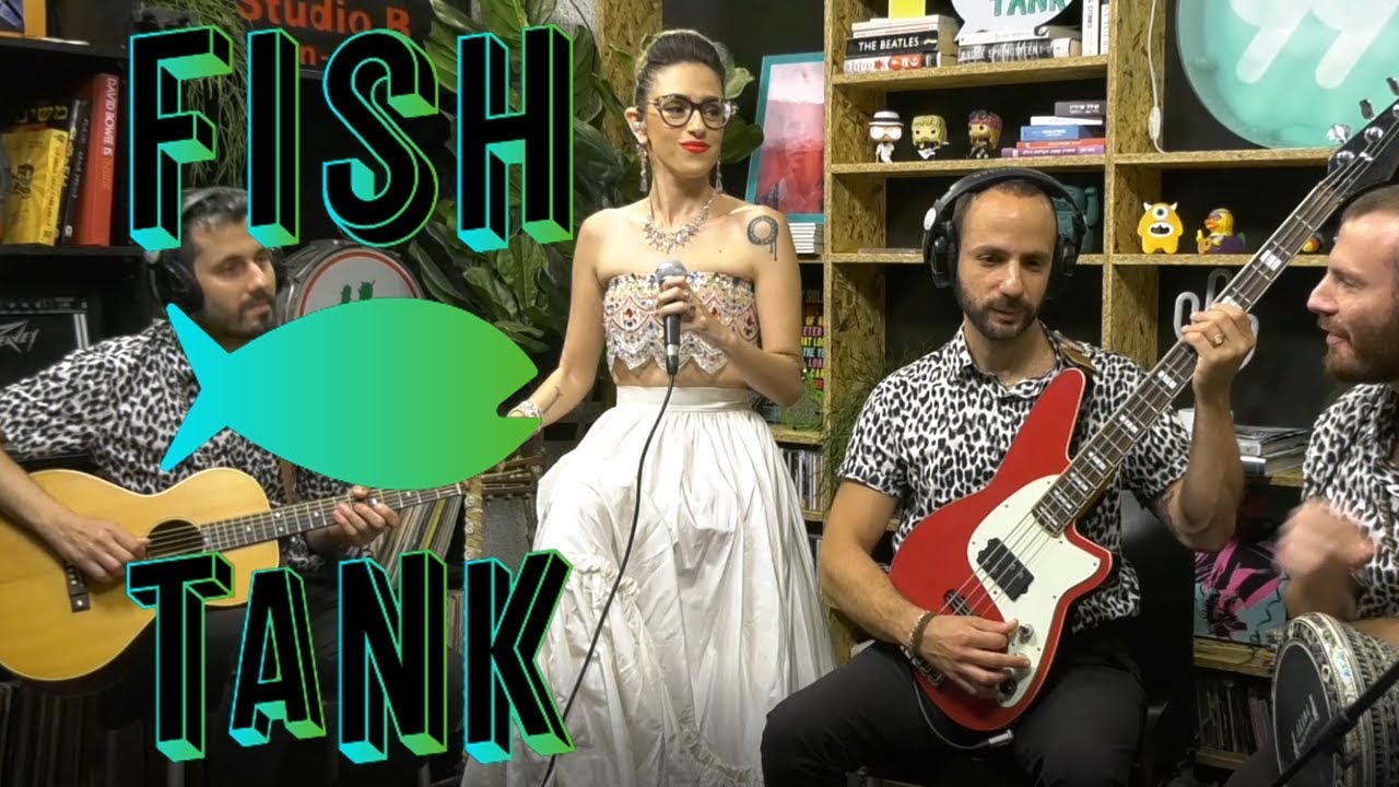 שפיטה - Bitter Sweet Symphony |  פישטנק  FISHTANK | אקו 99