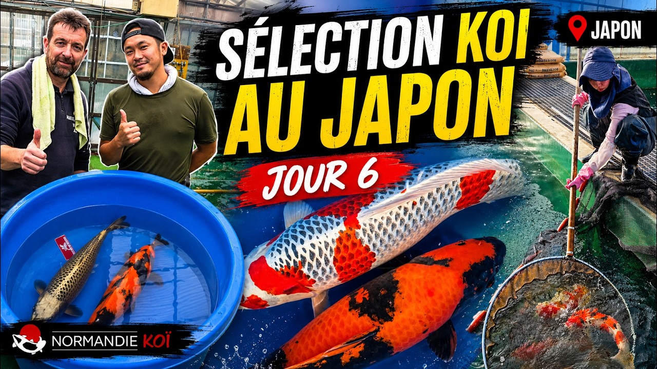 Une journée exceptionnelle à Niigata