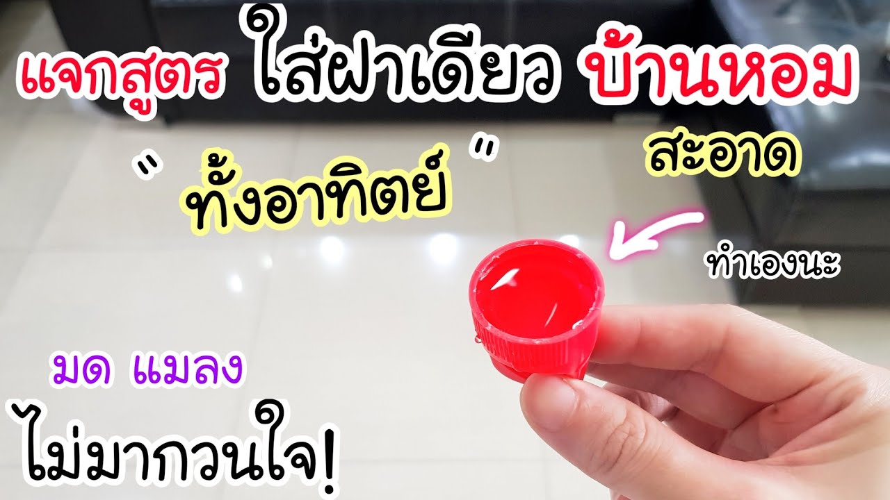 แจกสูตร บ้านหอมนาน! ใส่ฝาเดียวบ้านหอมทั้งอาทิตย์ มด แมลง ไม่มากวนใจ