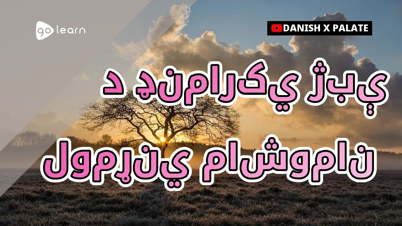 د ډنمارکي ژبې لومړني ماشومان |Golearn
