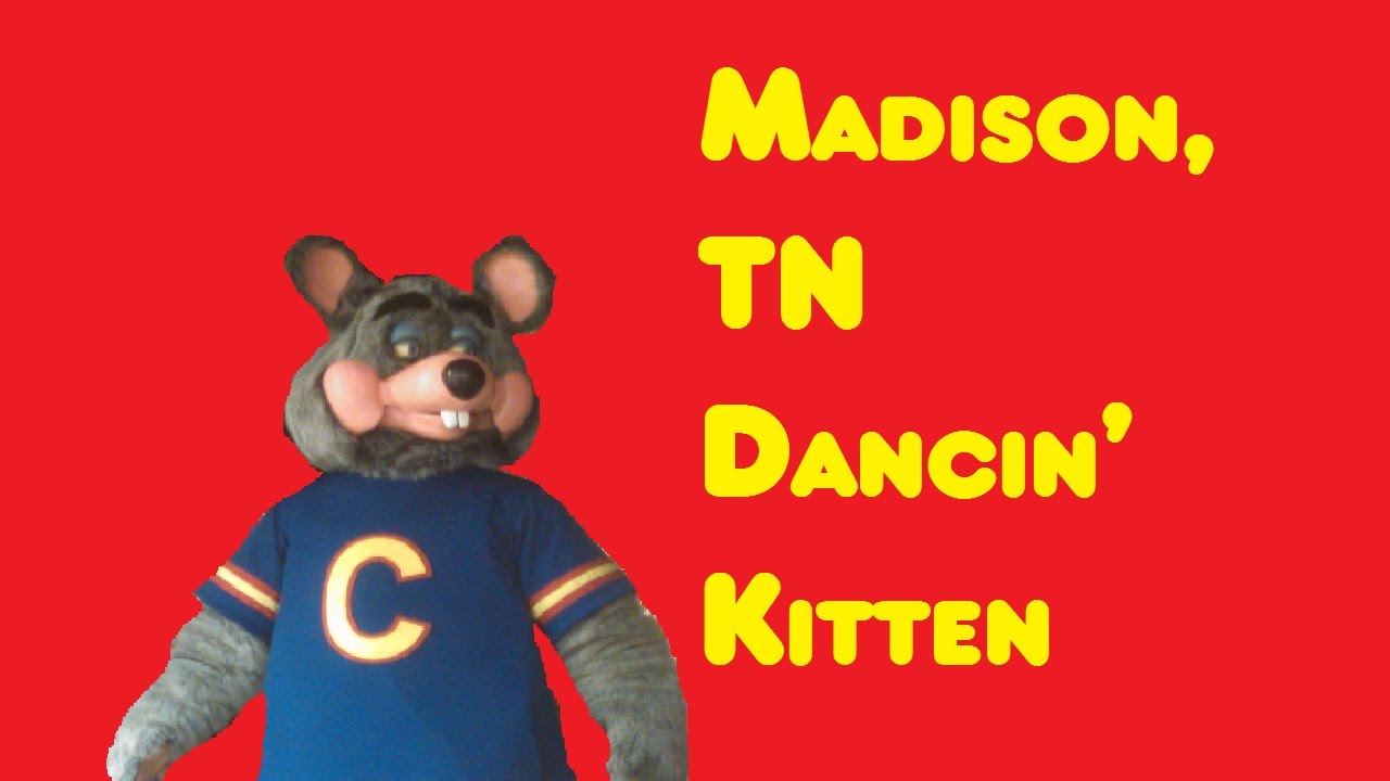 Dancin' Kitten - Chuck E. Cheese's Madison, TN