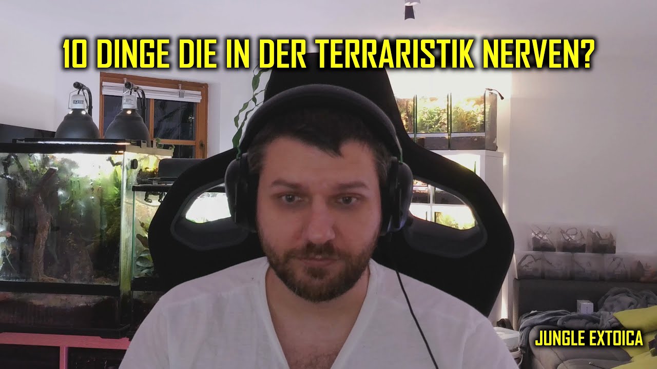 Nervige Themen der Terraristik die keiner zeigt | Reaction #1 | Jungle Exotica