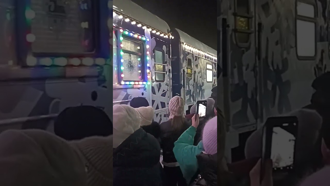 Поезд Деда Мороза. Дно Псковская обл