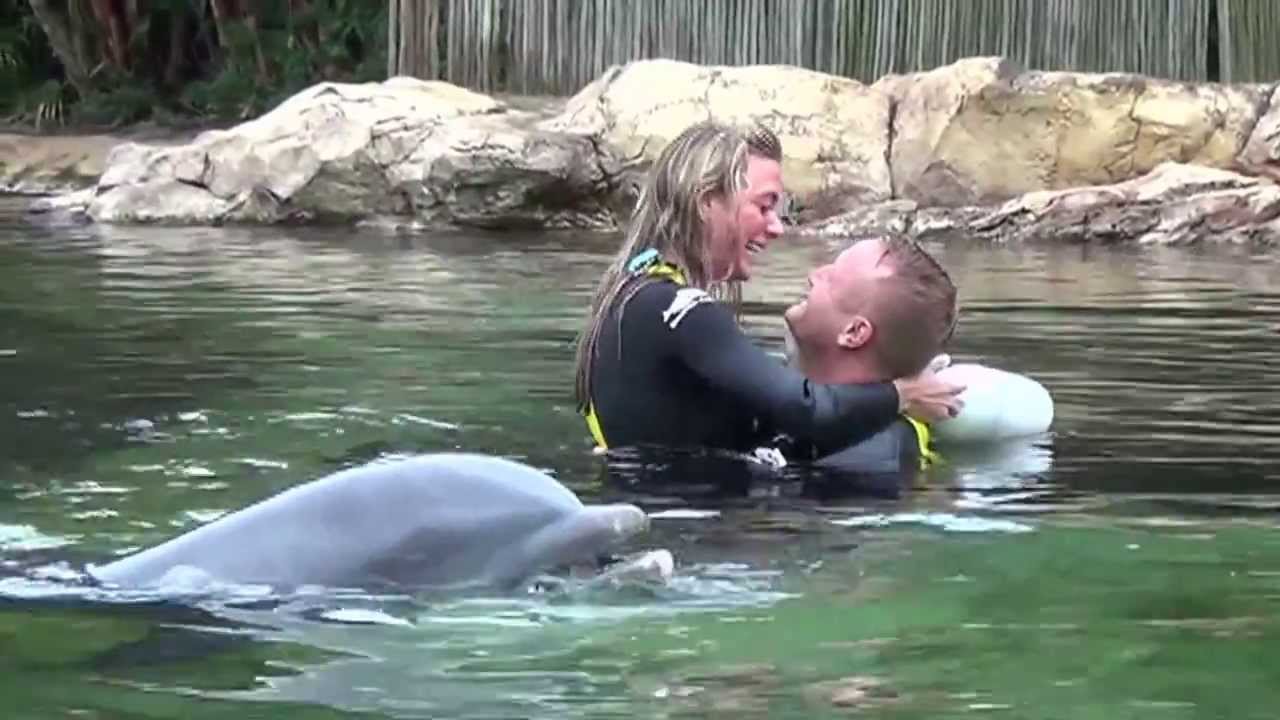 Rays Pitcher Delivered Pitch of a Lifetime at Discovery Cove in Orlando  | SeaWorld Orlando