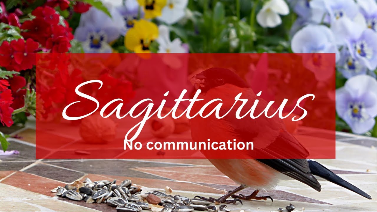 Sagittarius❤️I have acted like a fool & player but I don’t want u to date anyone..I will change!