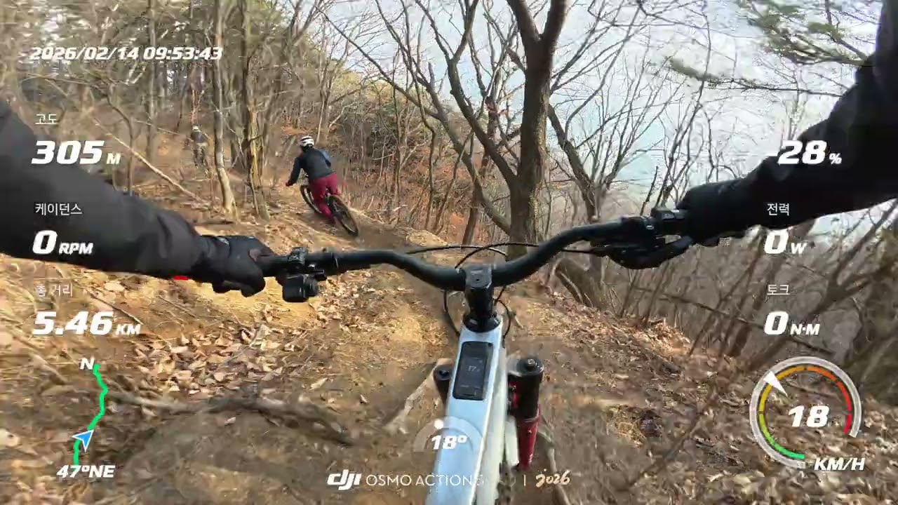 부상후 명절전 봄날씨 학전길 고고 제로,돼지악당 (캠:넙주기)