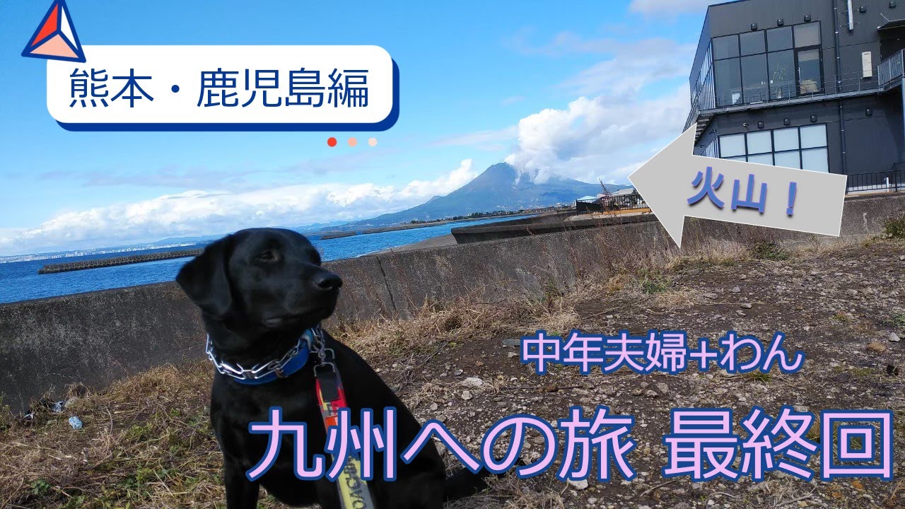 【ワンコと行く旅】九州旅行最終回💛熊本～鹿児島へ🐾ワンコ主役の旅🐾