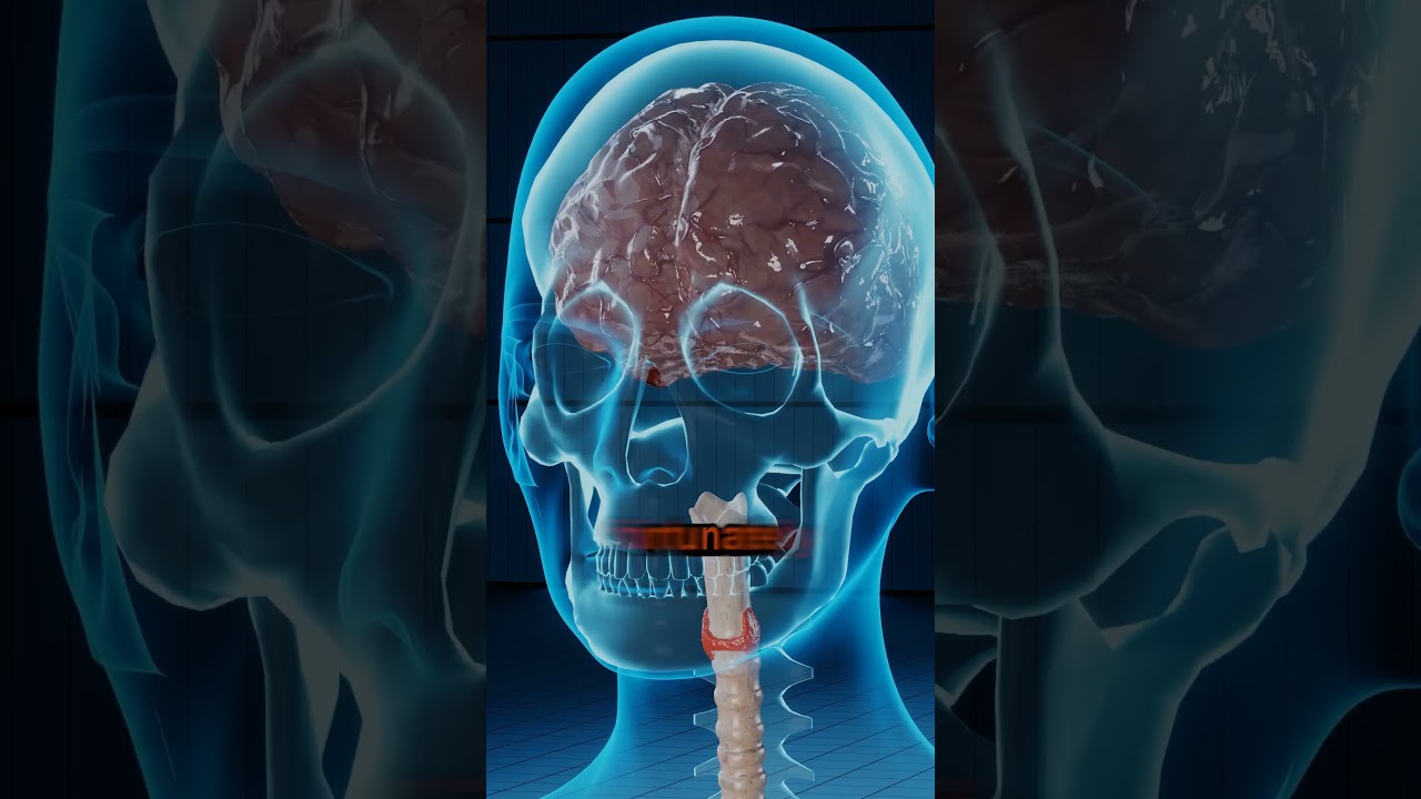 Kevin Nash&rsquo;s Real Knife Injury in The Punisher Movie: A Behind-the-Scenes Accident !!