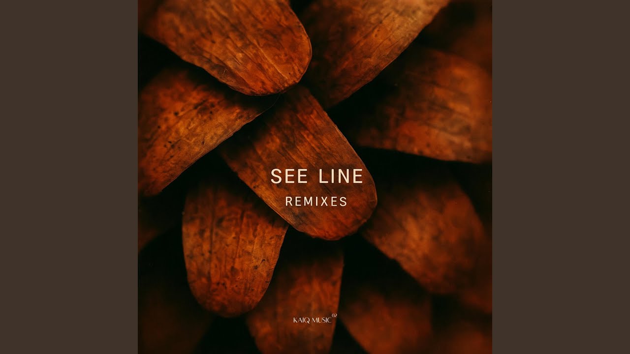 See Line (Enrico Bellan Remix)