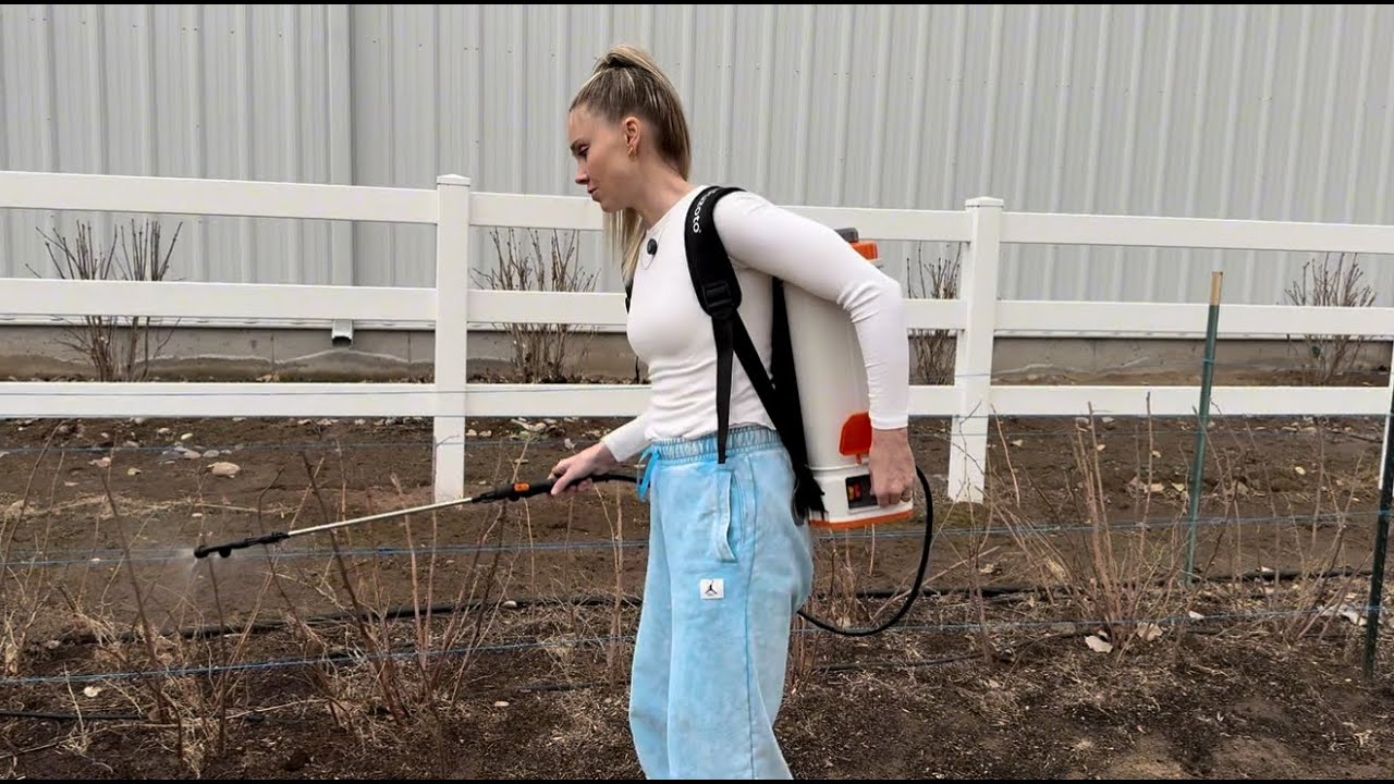 I Was Skeptical - Battery Powered Backpack Sprayer