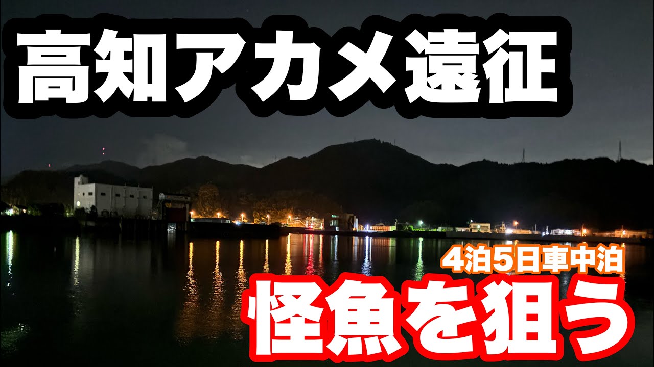 高知に怪魚アカメを狙って4泊5日の車中泊遠征に挑む。幻とも言われるアカメに出逢うことはできたのか？！【アカメ】【浦戸湾】【遠征】
