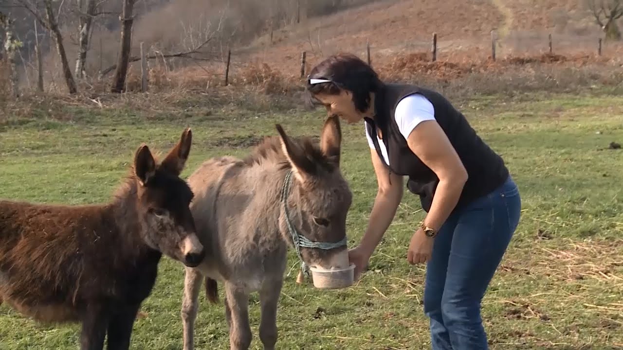 Seoski turizam u Tramošnji kod Sanskog Mosta 20.12.2024.
