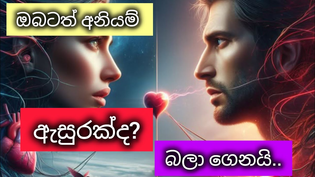හොරෙන් පවතින අනියම් ඇසුරක ඇත්තම විපාකය කුමක්ද?🙏🌼🌺🩷♥️🔥👍🏵️💮🪷💐🌸🙏/#anuhas #viralvideo #trending #Casual 