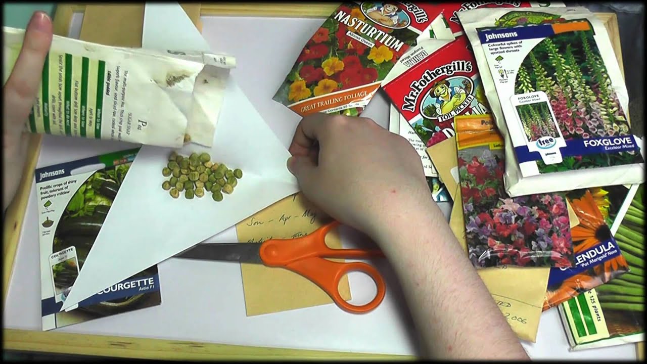 11. Packaging Seeds - SOUNDsculptures (ASMR)